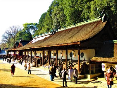 ⛩️ 구마노 신사 (구마노 진자)